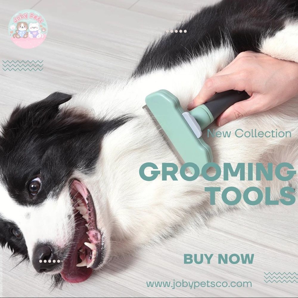 T10 Modern Shedding Pet Comb